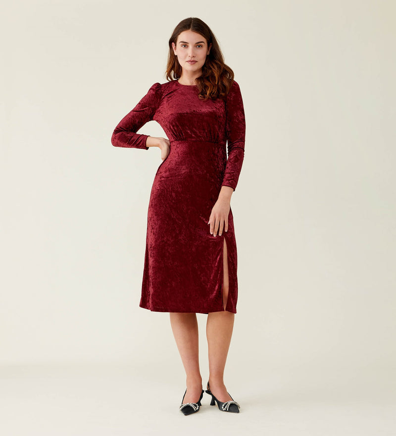 Abel Velvet Dress